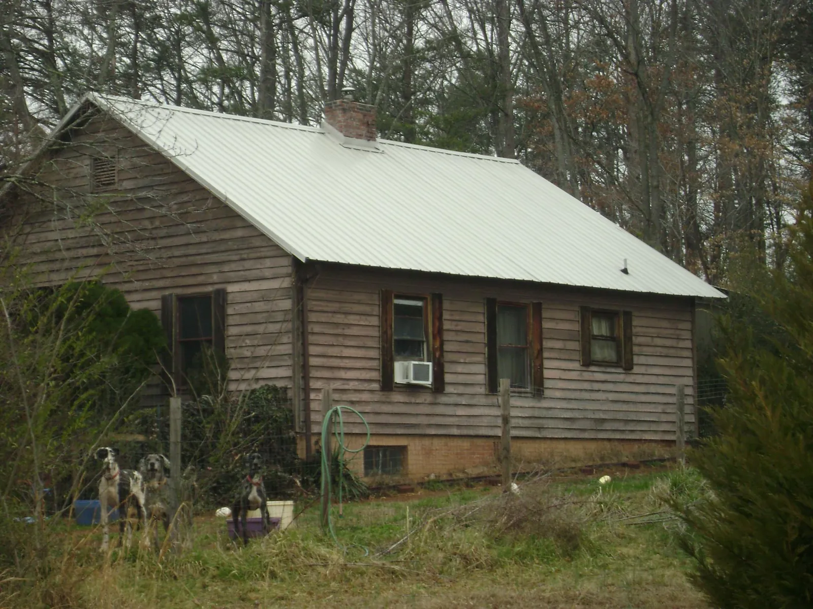 White metal roof on an old wood sided farmhouse, from a Asphalt Shingle Roof Repair job in Round Mountain